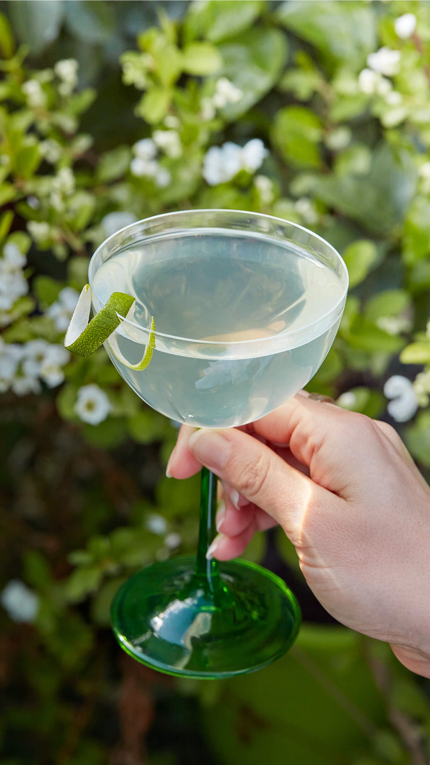 A hand holding a tanqueray 0.0% Gimlet cocktail with a lime swirl garnish